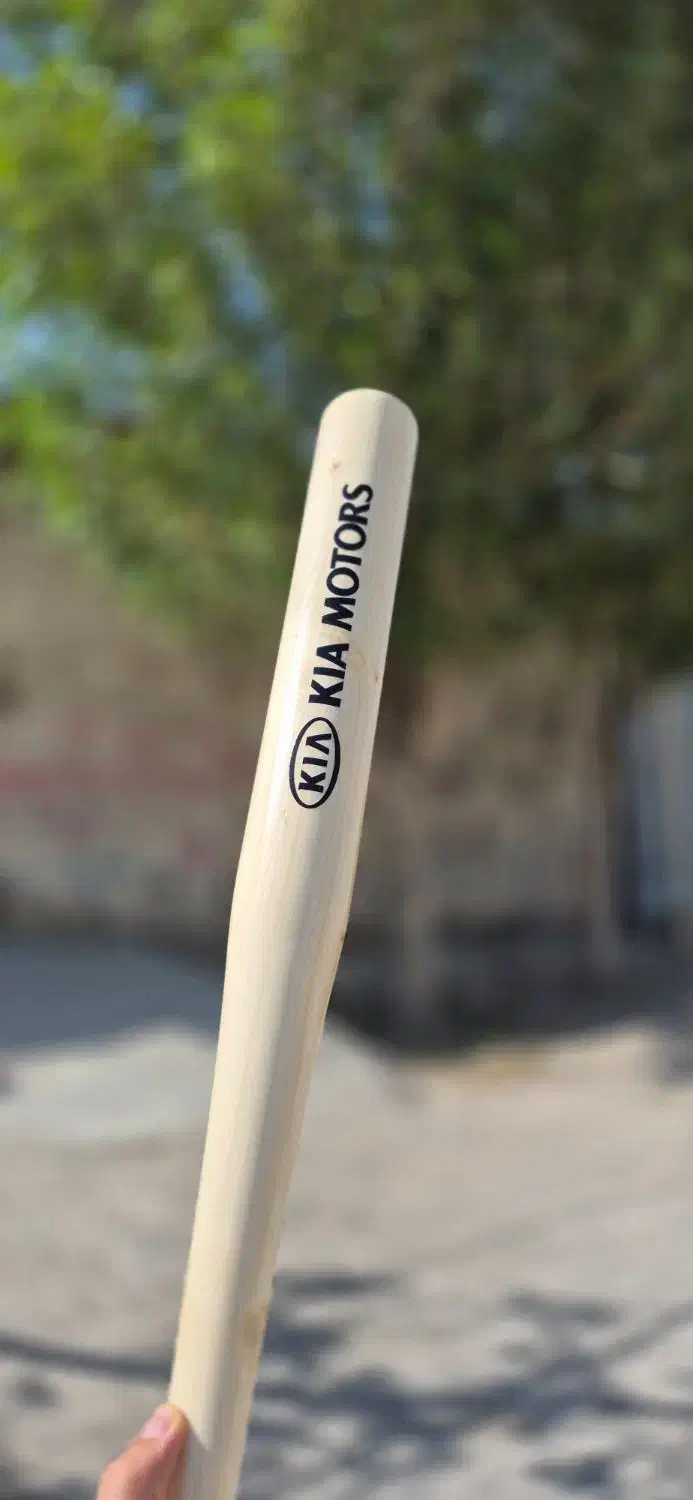 بیسبال دنا|ورزش‌های توپی|ساری, |دیوار