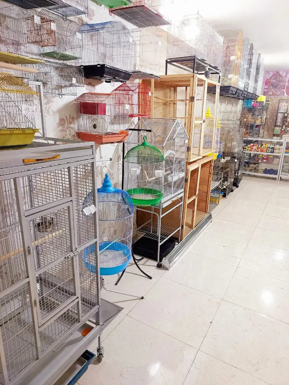 قفس عروس هلندی طوطی برزیلی مرغ عشق کاسکو قناری فنچ|لوازم جانبی حیوانات|تهران, دهم فروردین|دیوار