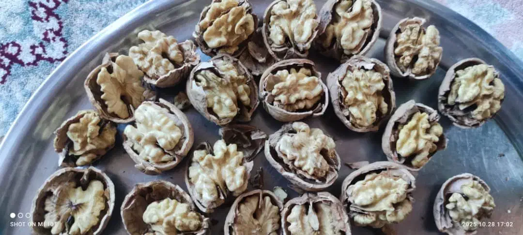 گردوی کاغذی|خوردنی و آشامیدنی|سردشت, |دیوار