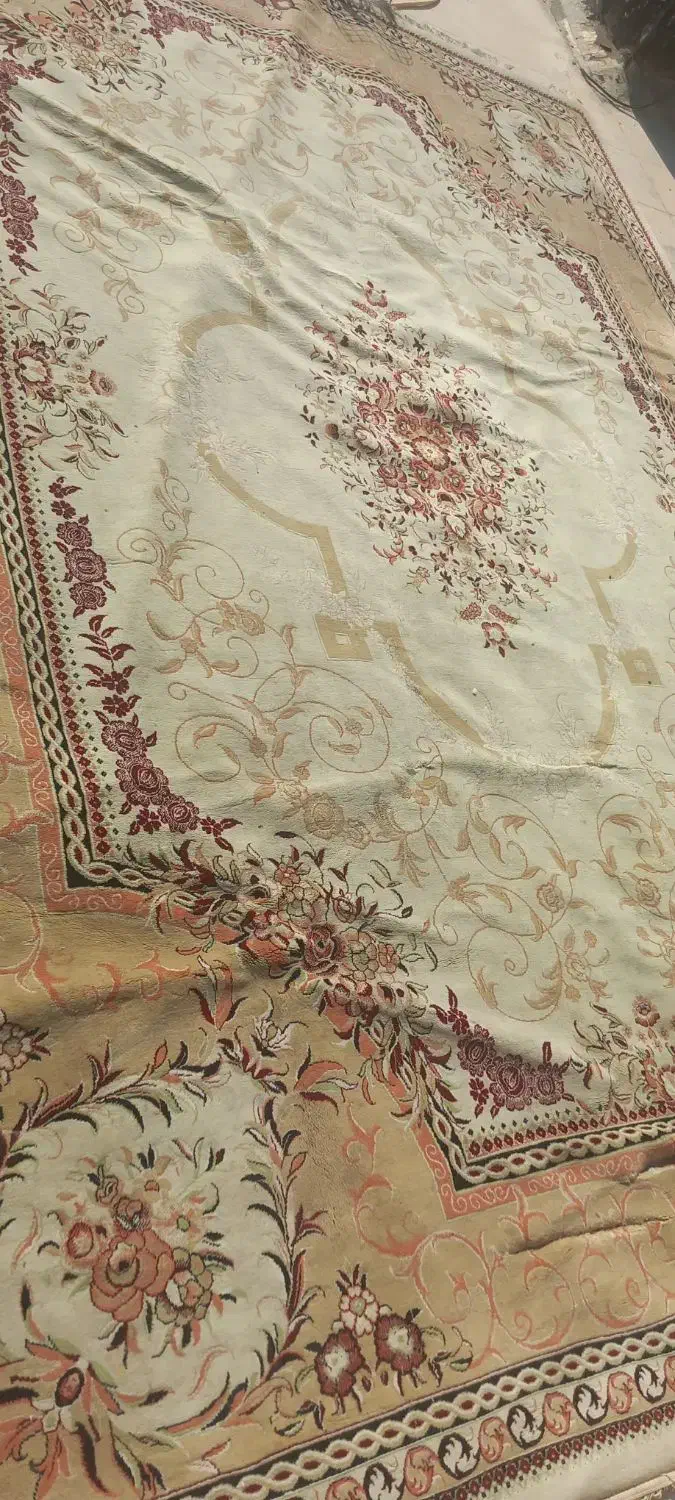 قالی ۱۲ متری|فرش|کازرون, |دیوار