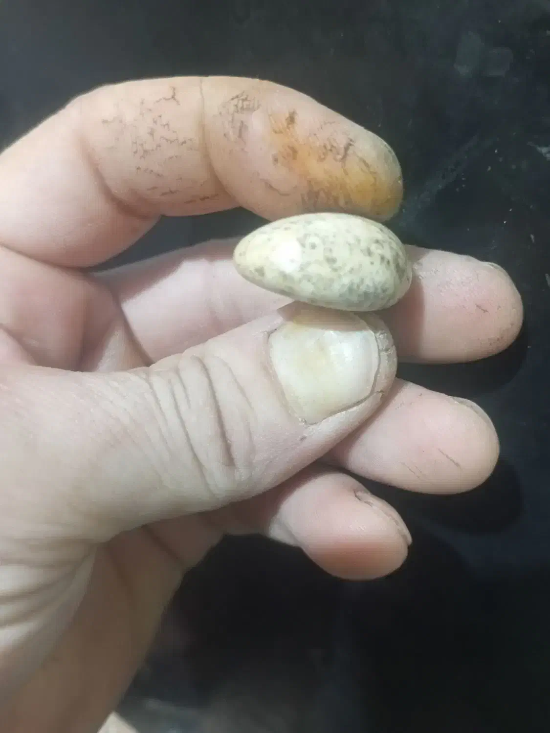 سنگ قدیمی|کلکسیون اشیاء عتیقه|کرمان, |دیوار