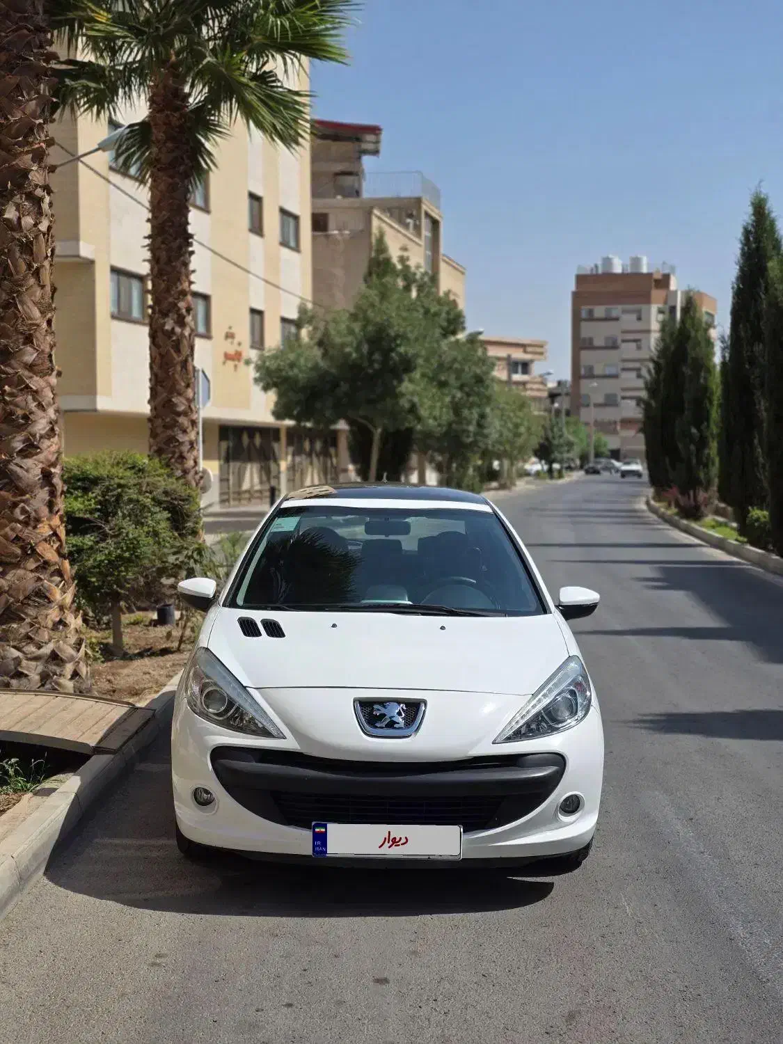 207 پانا مدل 1401|خودرو سواری و وانت|اصفهان, شاه پسند|دیوار