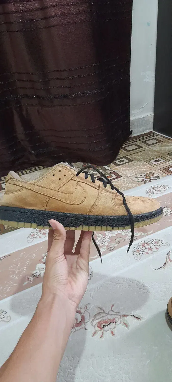 کتونی نایک ساق کوتاه|کیف، کفش، کمربند|قدس, شهر‌قدس|دیوار