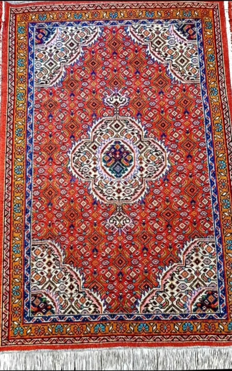 فرش دستبافت پادری|فرش|اردبیل, |دیوار