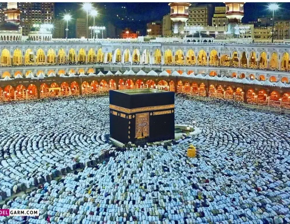 فیش حج واجب|تور و چارتر|مشهد, نوید|دیوار