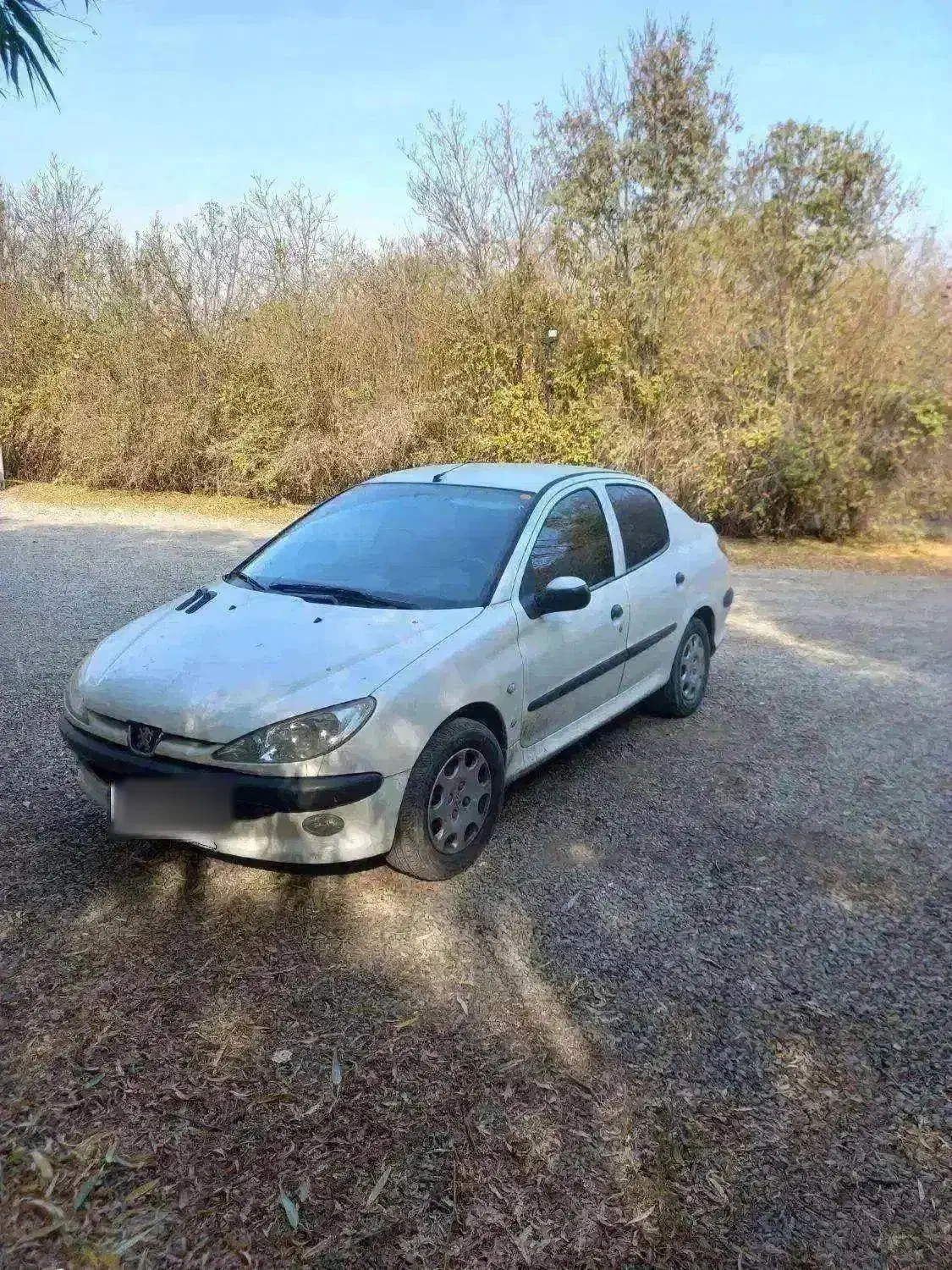 ۲۰۶  sd|خودرو سواری و وانت|قیامدشت - خاورشهر, |دیوار