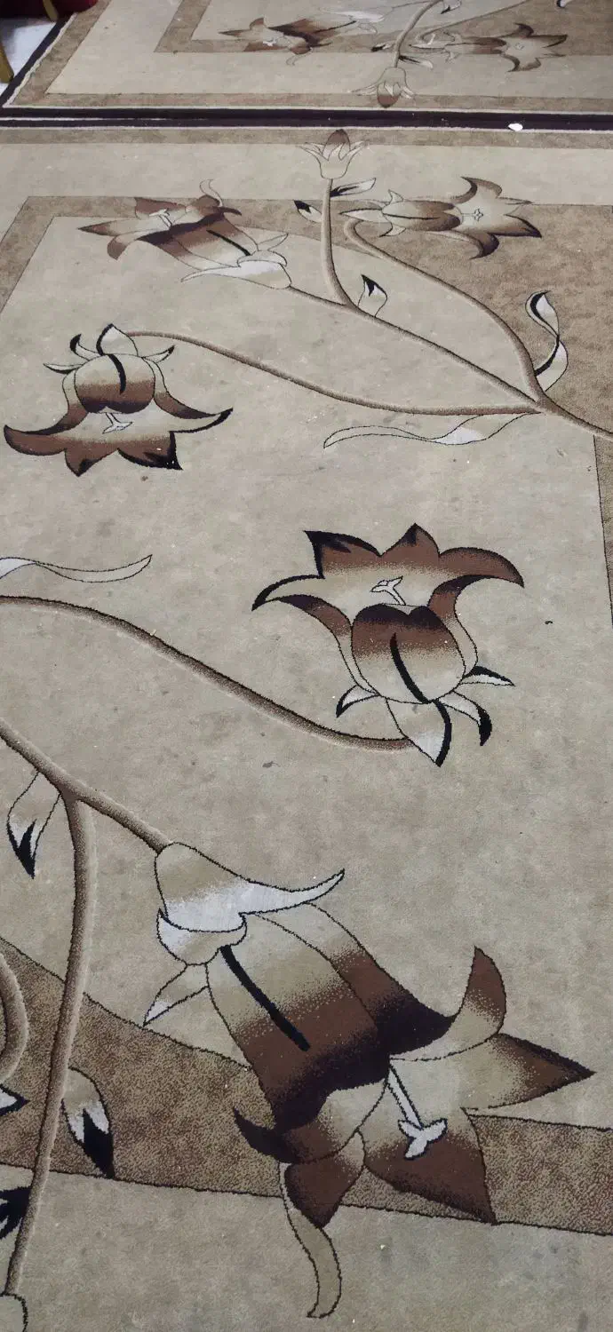 فرش و مبل|گلیم، جاجیم، گبه|گرگان, |دیوار