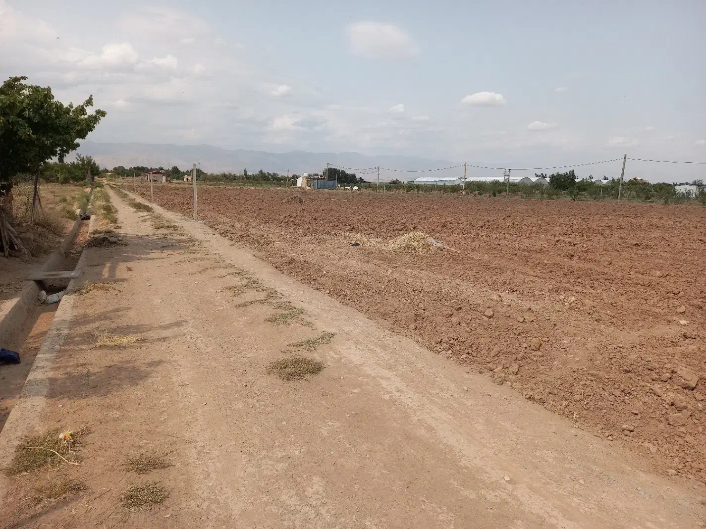 فروش زمین کشاورزی|فروش زمین و ملک کلنگی|نظرآباد, خسروآباد|دیوار