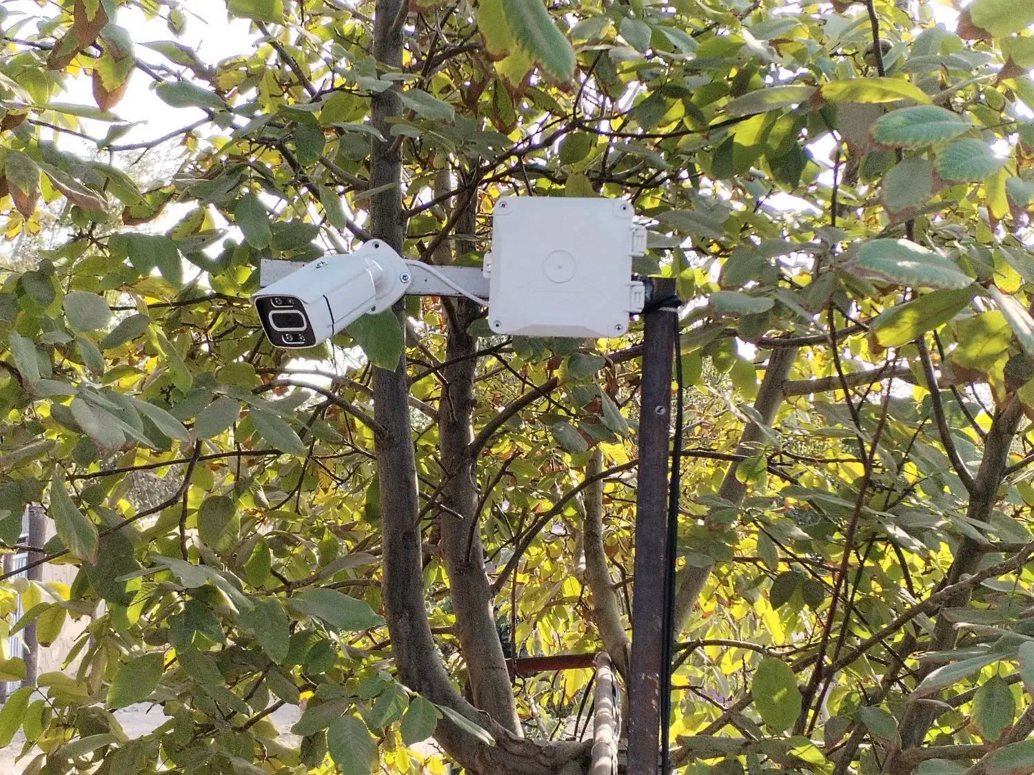 مرکز فروش تخصصی دوربین مداربسته|دوربین مداربسته|نیشابور, شهرک قدس|دیوار