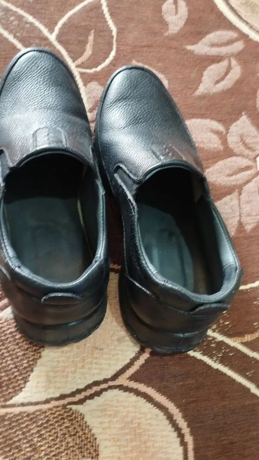 اهواز کوی آهن افشار بیمارستان کرمی|کیف، کفش، کمربند|اهواز, کمپلو شمالی|دیوار