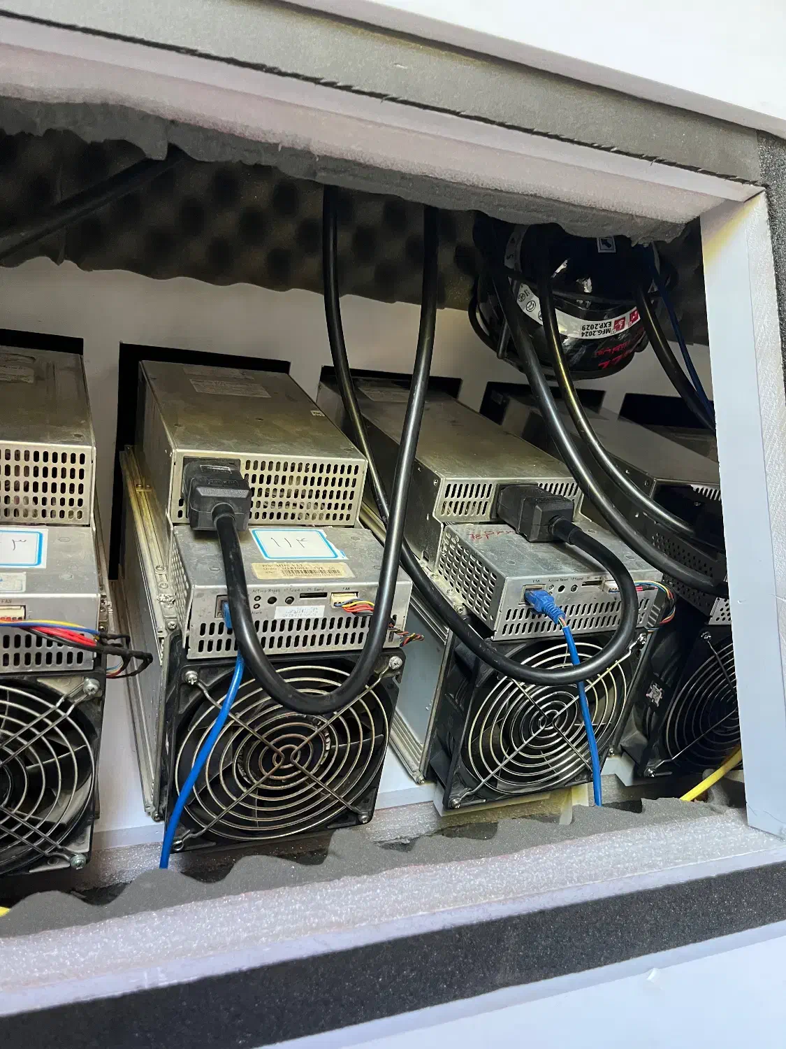 فروش ماینر m30|قطعات و لوازم جانبی رایانه|مشهد, گلبرگ|دیوار