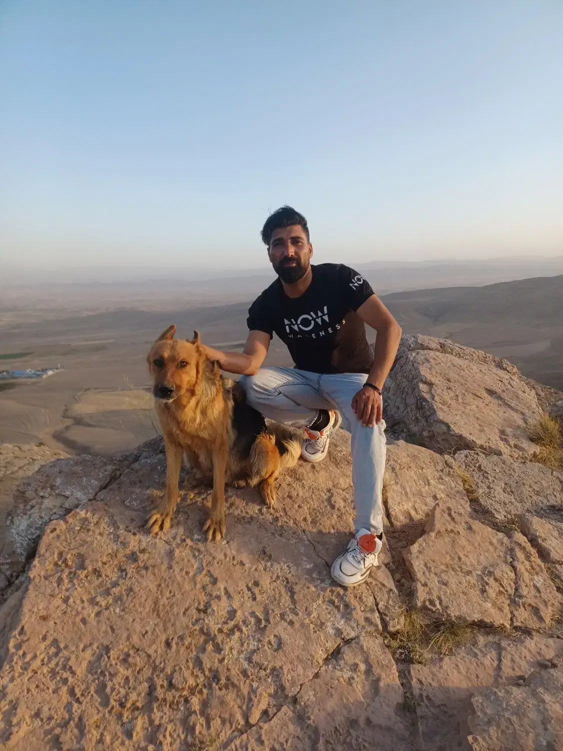 سگ ژرمن حرف گوش کن|سگ|شیروان (خراسان), |دیوار