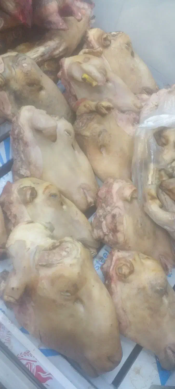 کله پاچه|خوردنی و آشامیدنی|مسجد سلیمان, |دیوار