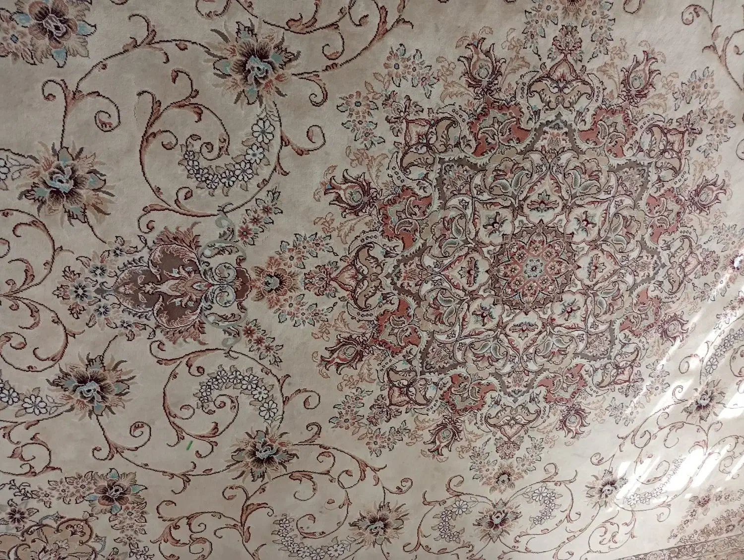 فرش فروشی|فرش|قائن, |دیوار