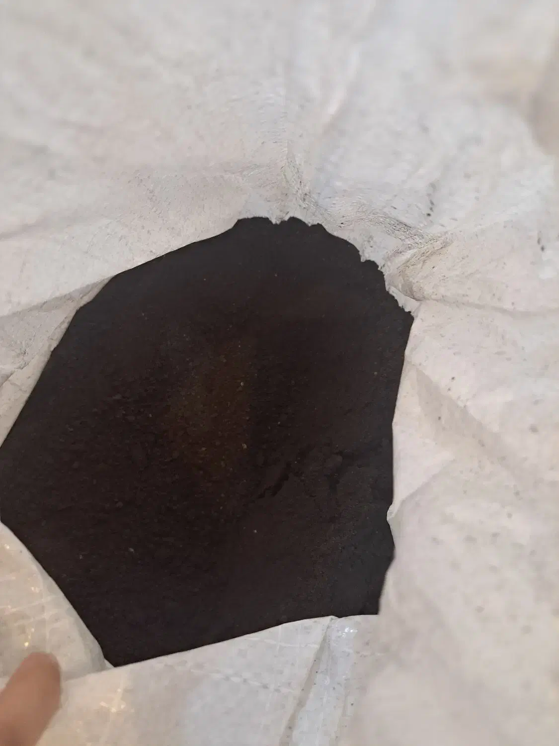 حلزون فروشی|خزنده|لاهیجان, گلستان|دیوار