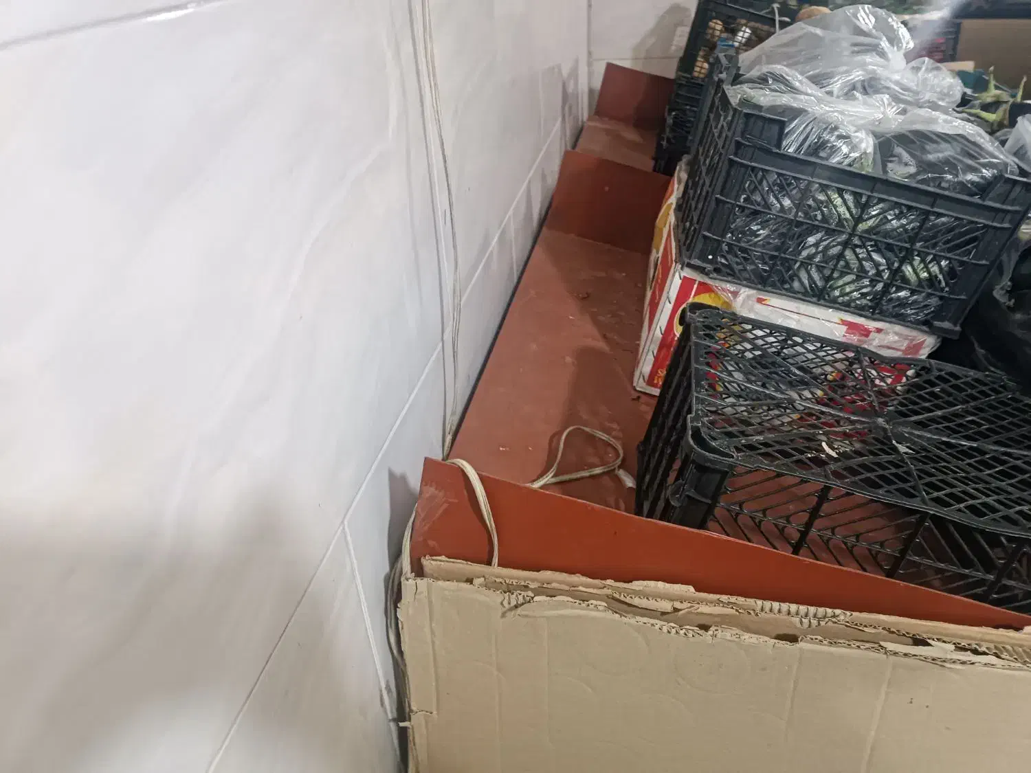 میز|عمده‌فروشی|قرچک, داوود آباد|دیوار