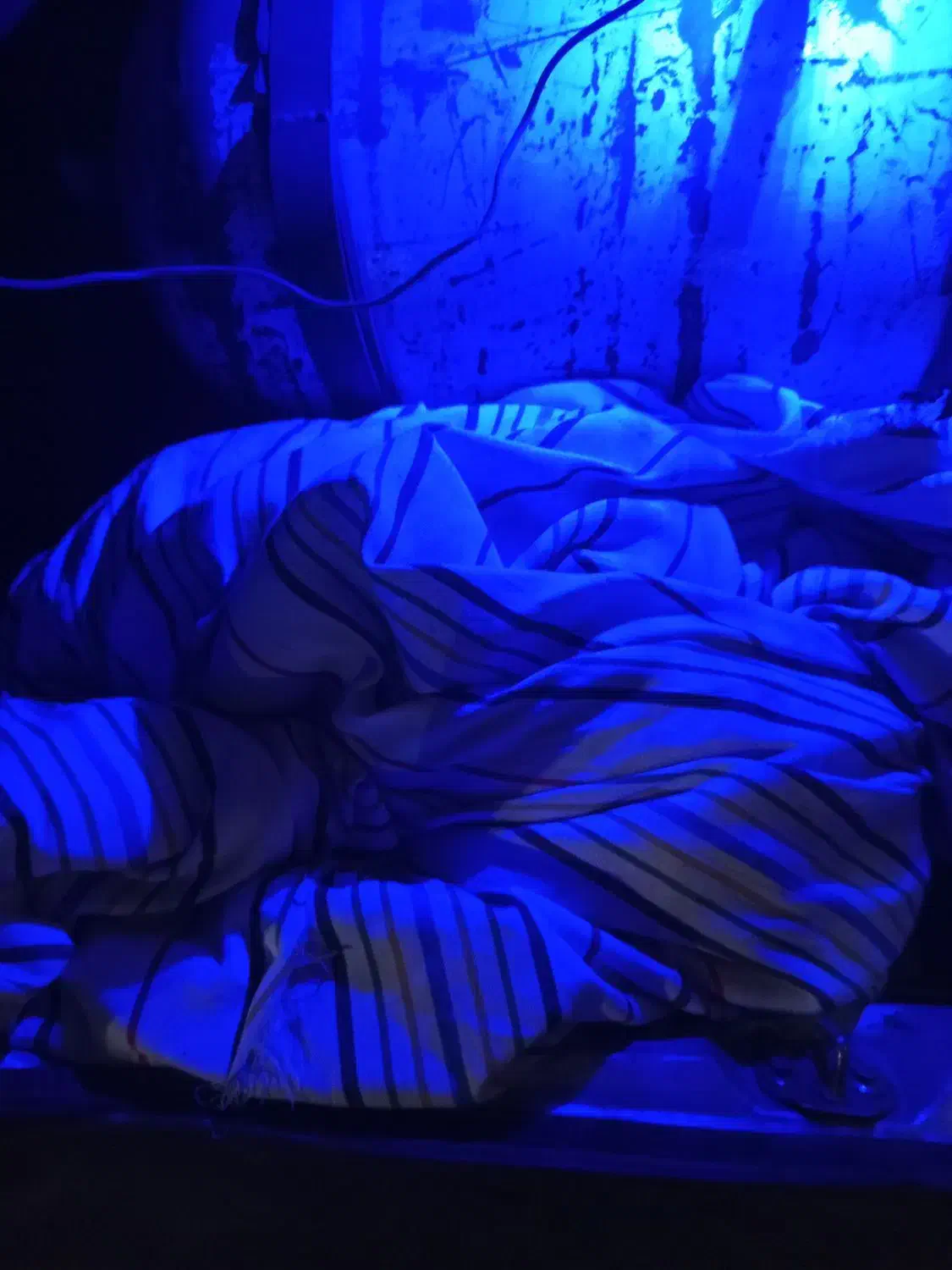 چادر پراید|قطعات یدکی و لوازم جانبی|شریف‌آباد, |دیوار