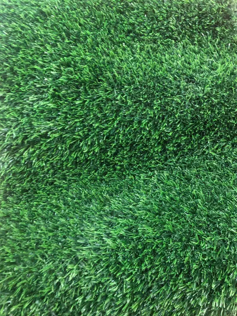 فروش چمن مصنوعی|مصالح و تجهیزات ساختمان|رشت, نخودچر|دیوار