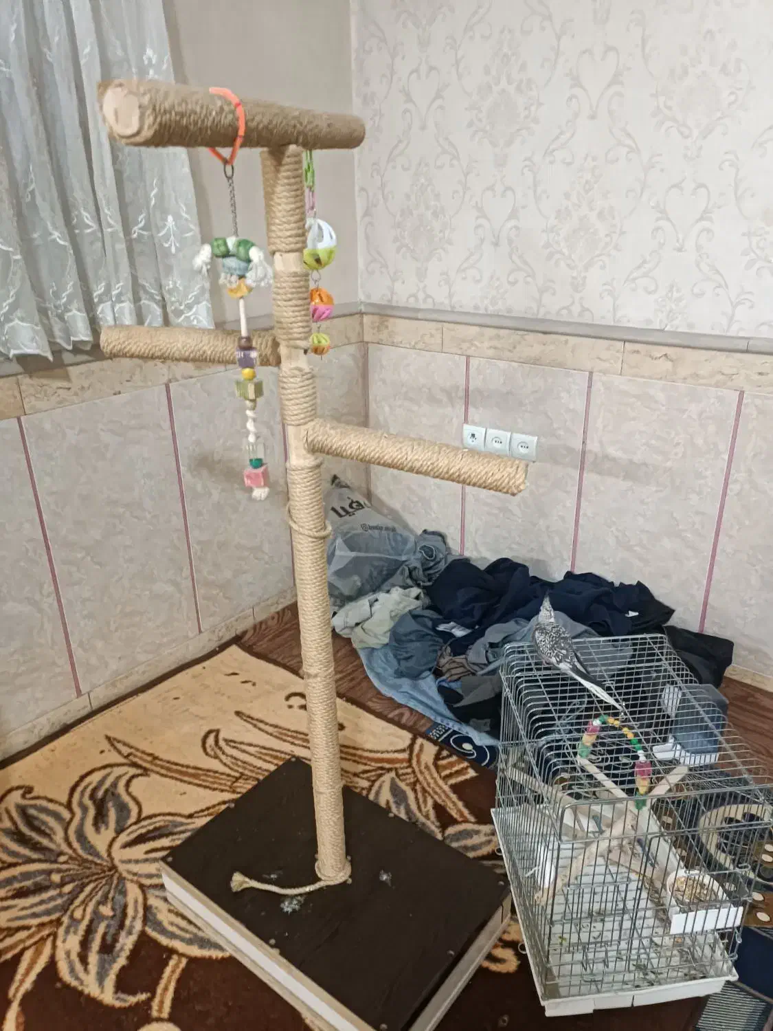 یدونه قفس با نشیمن گاه پرنده|لوازم جانبی حیوانات|بهارستان, |دیوار