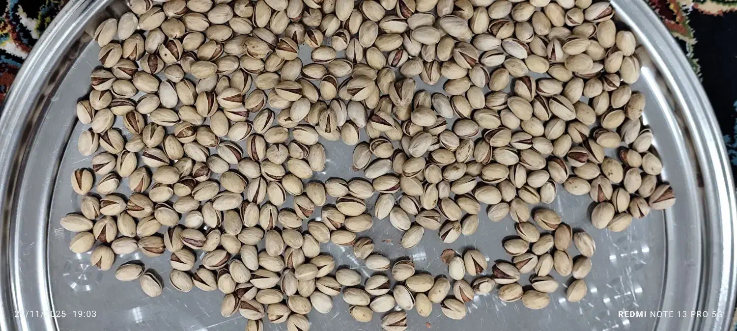 پسته|خوردنی و آشامیدنی|تهران, مظاهری|دیوار