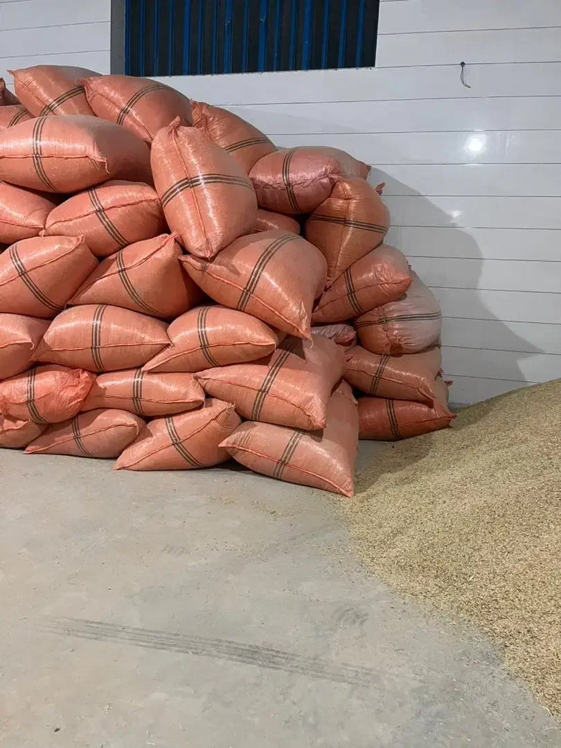 جو و کاه سفیدویونجه|خدمات باغبانی و درختکاری|مرودشت, تخت جمشید|دیوار