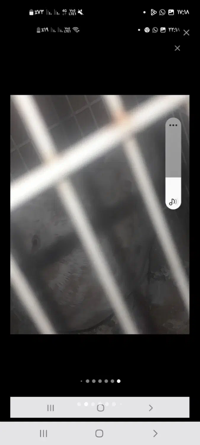 یک جفت کبوتر|پرنده|سراوان, |دیوار