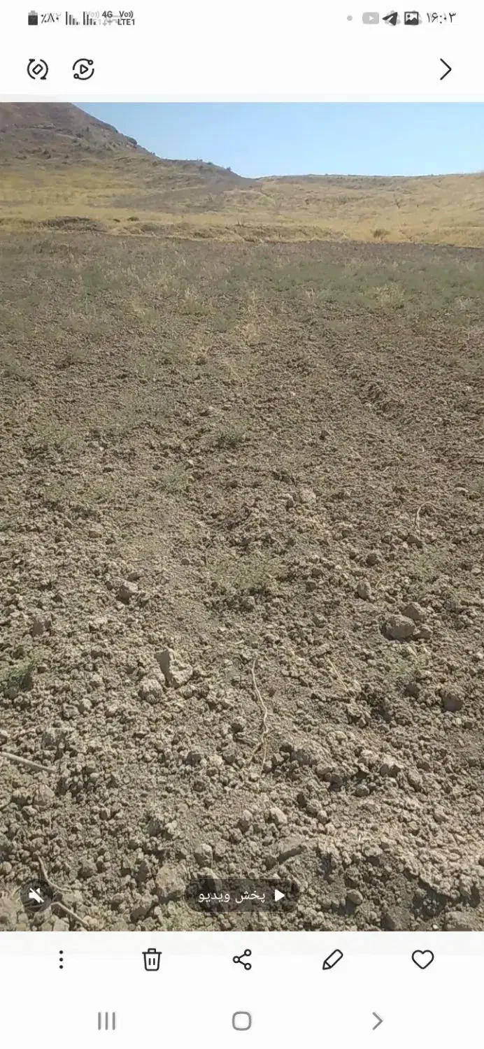 زمین ابی|فروش زمین و ملک کلنگی|قصرشیرین, |دیوار