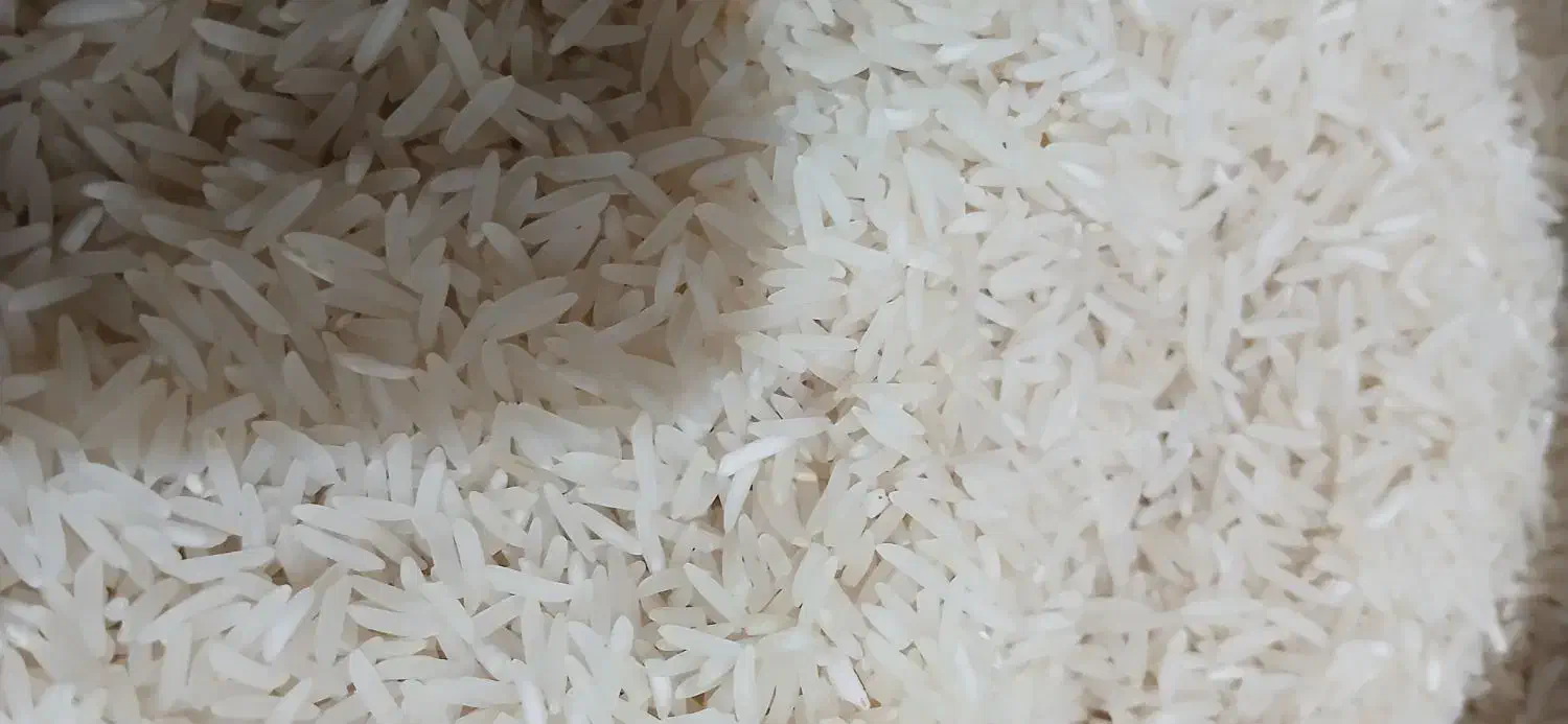 برنج فجر سوزنی|خوردنی و آشامیدنی|علیآباد کتول, |دیوار