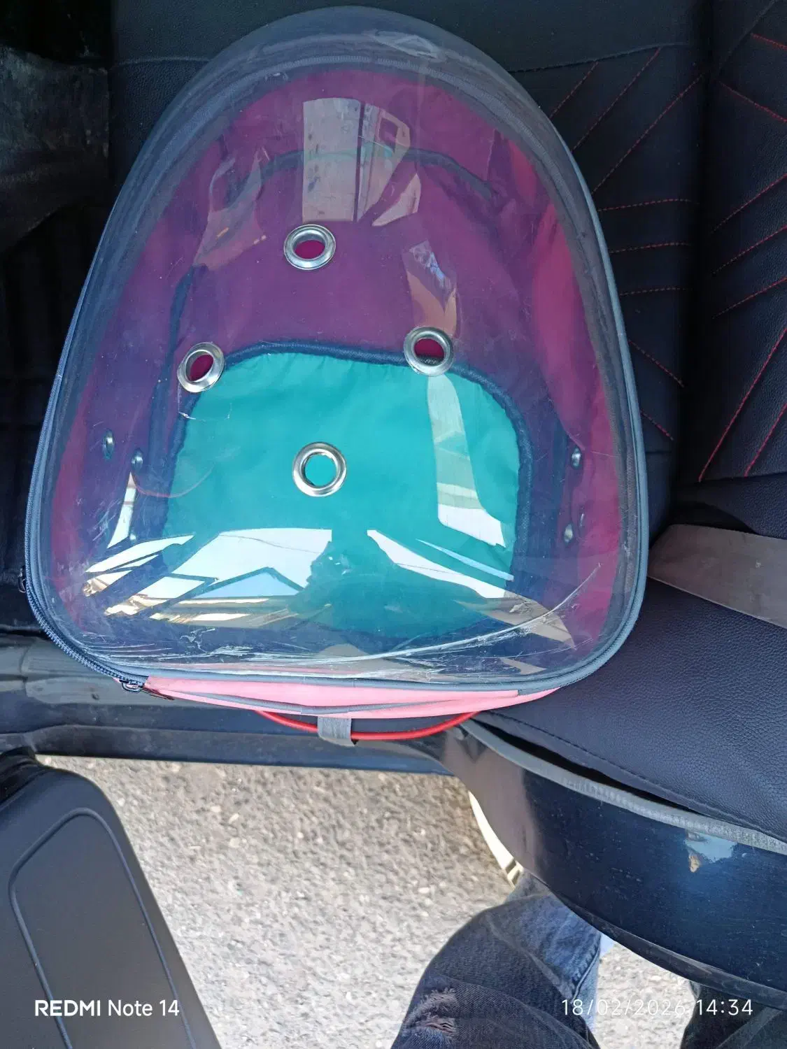 باکس گربه|لوازم جانبی حیوانات|رشت, شهرک آیت الله منتظری|دیوار