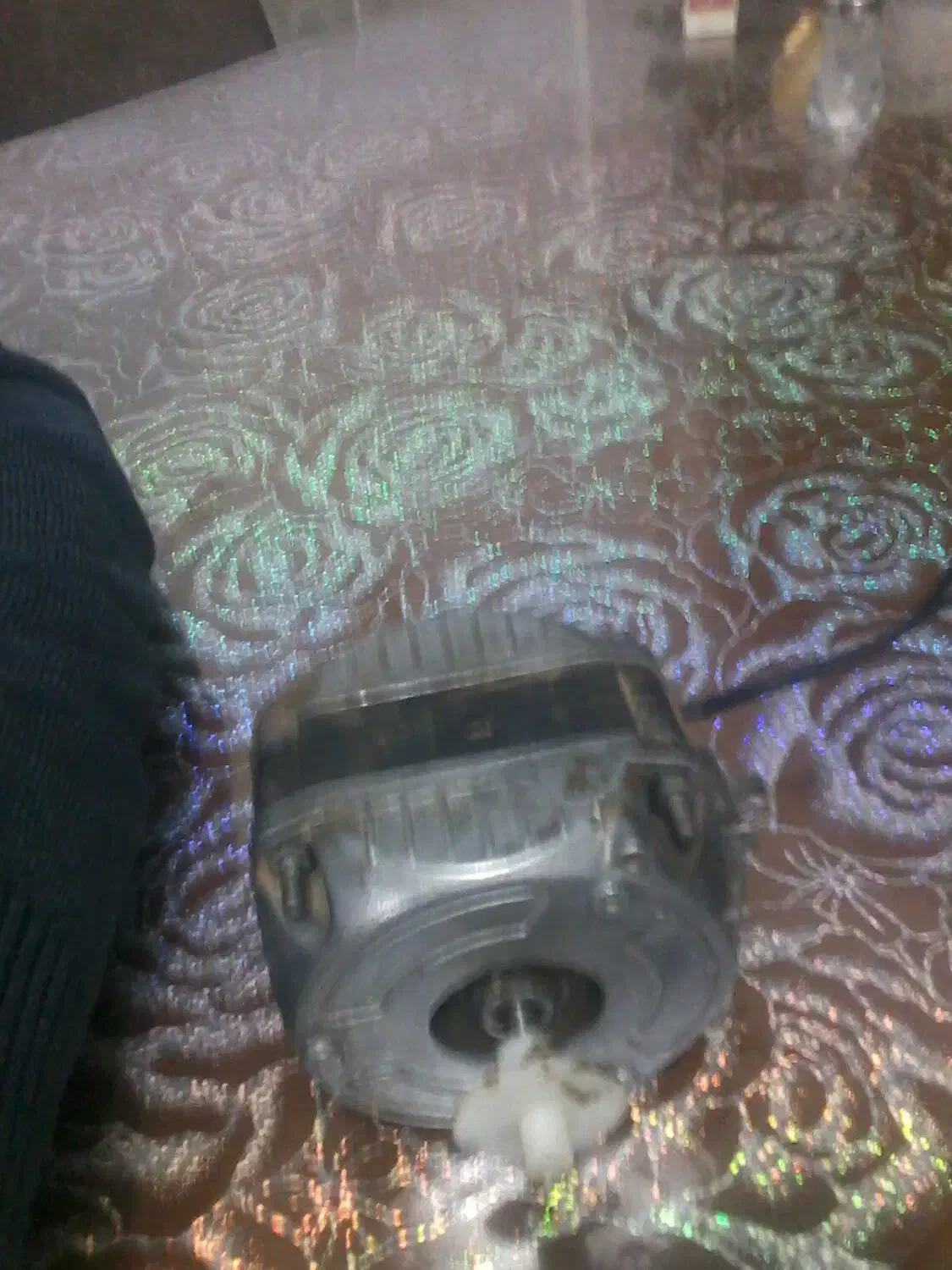 فن یخچال ویترینی|یخچال و فریزر|اسفراین, |دیوار