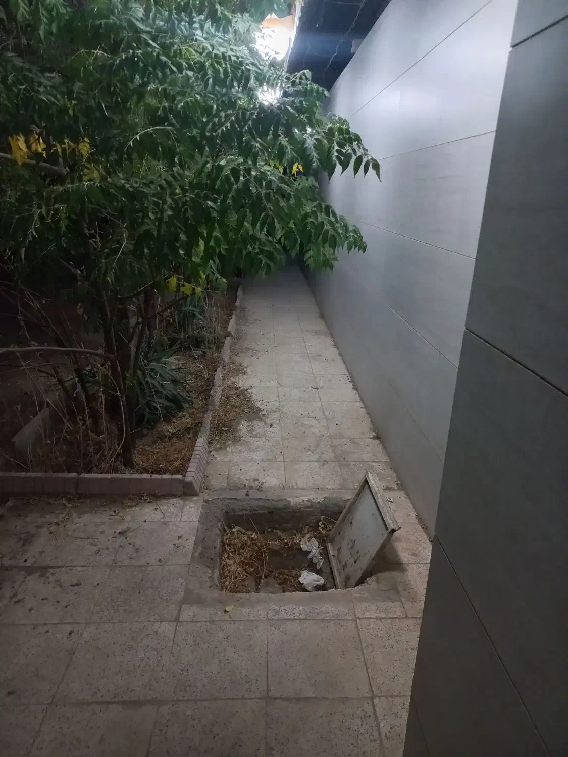 باغچه ۵۰۰ متری|فروش خانه و ویلا|گلمکان, |دیوار