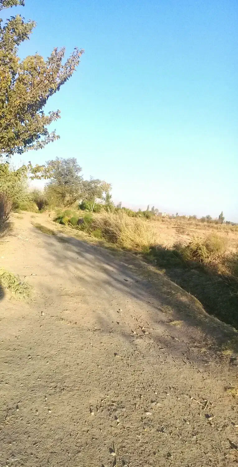 زمین باغی هرباتمانش۷۳ت دریالقوزآغاج|فروش دفتر صنعتی، کشاورزی، تجاری|مرند, |دیوار