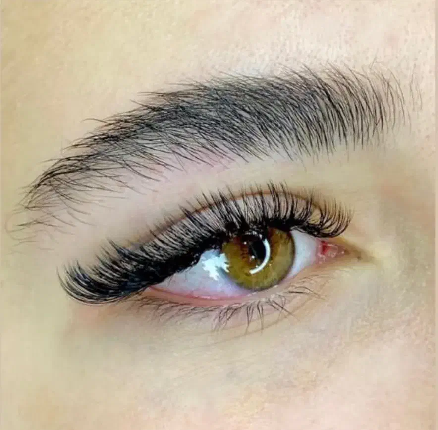 کاشت مژه|خدمات آرایشگری و زیبایی|محمدشهر, شهرک چمران|دیوار