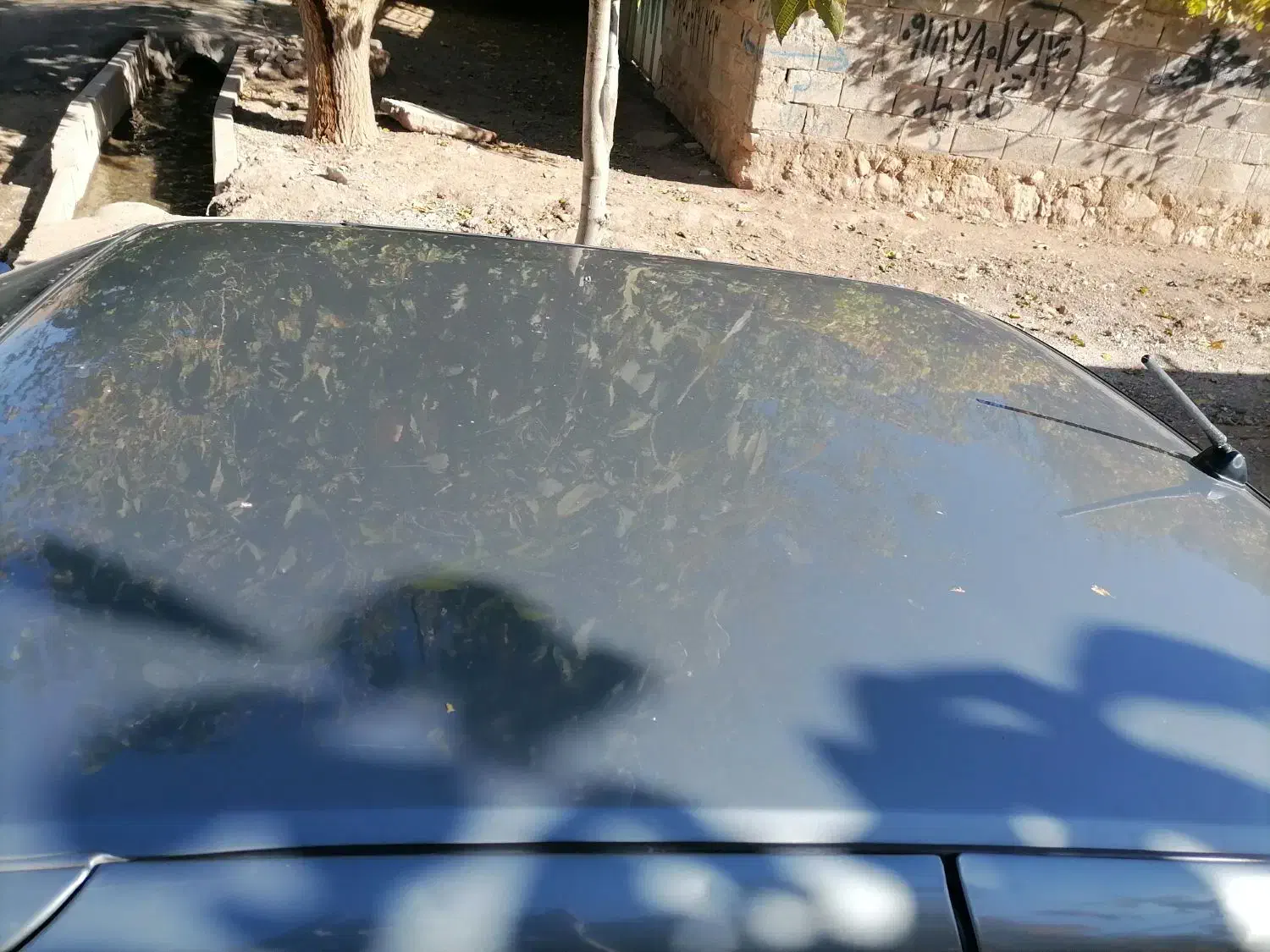 پارس تیوفایو|خودرو سواری و وانت|بیستون, |دیوار