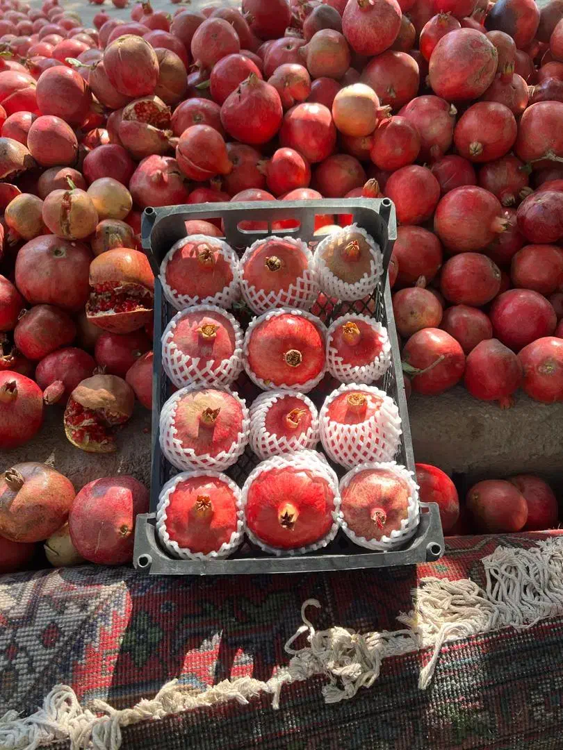 انار مجلسی|خوردنی و آشامیدنی|شیراز, میانرود|دیوار