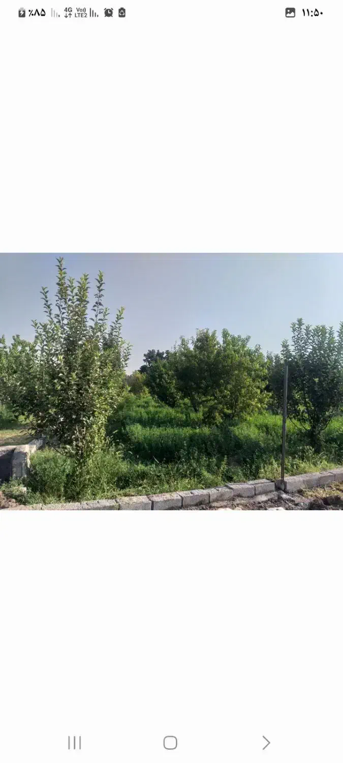 باغ نقلی ۵۴۵ متر باسند تک برگ نیم دانگ|فروش زمین و ملک کلنگی|ایواوغلی, |دیوار