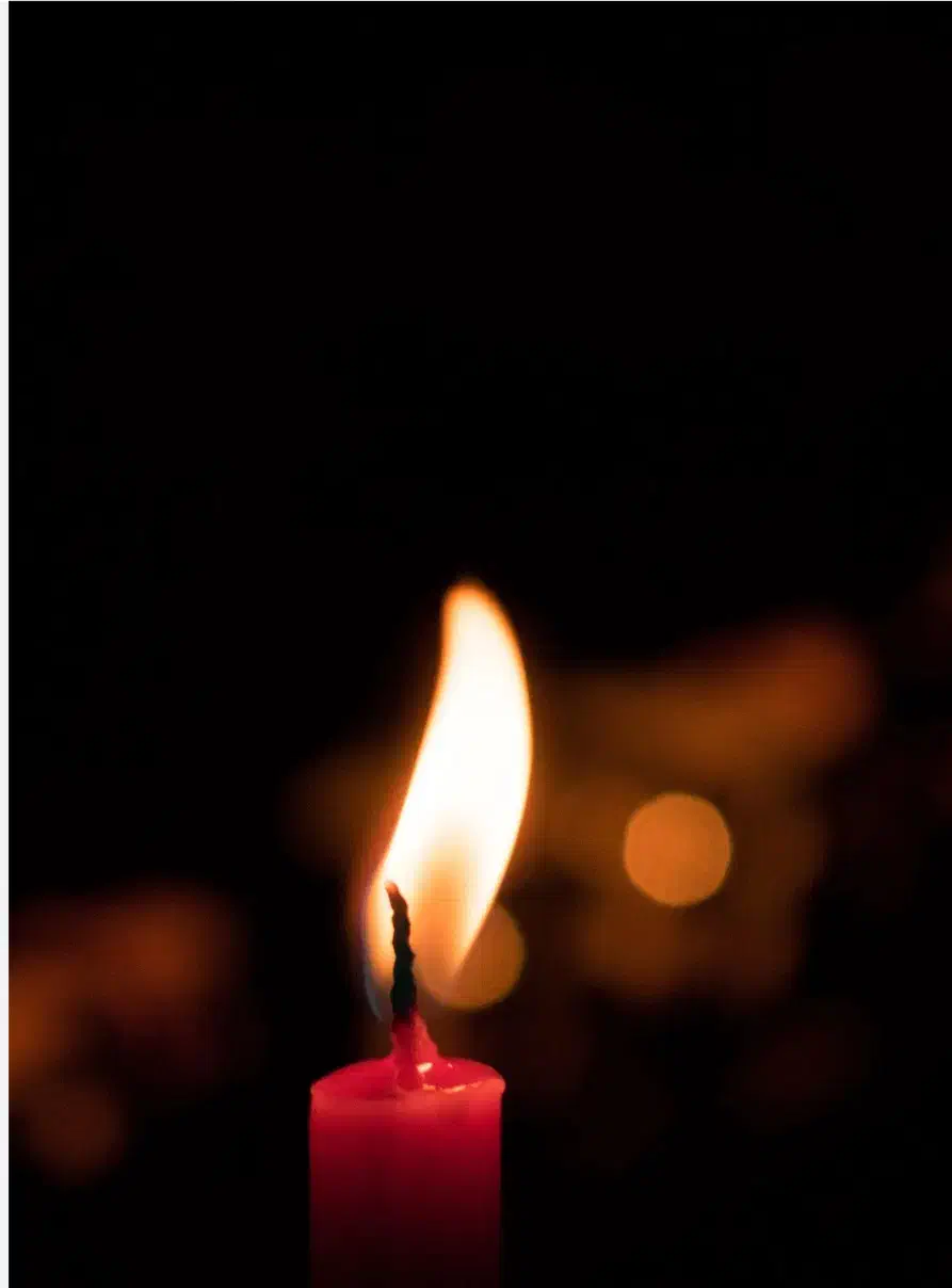 مداح بختیاری|خدمات پذیرایی، مراسم|شهرکرد, |دیوار