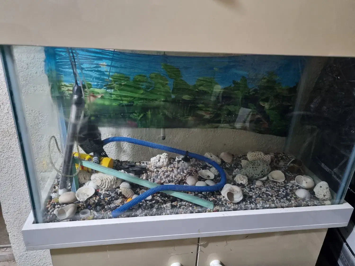 فروش آکواریوم|ماهی|جم, |دیوار