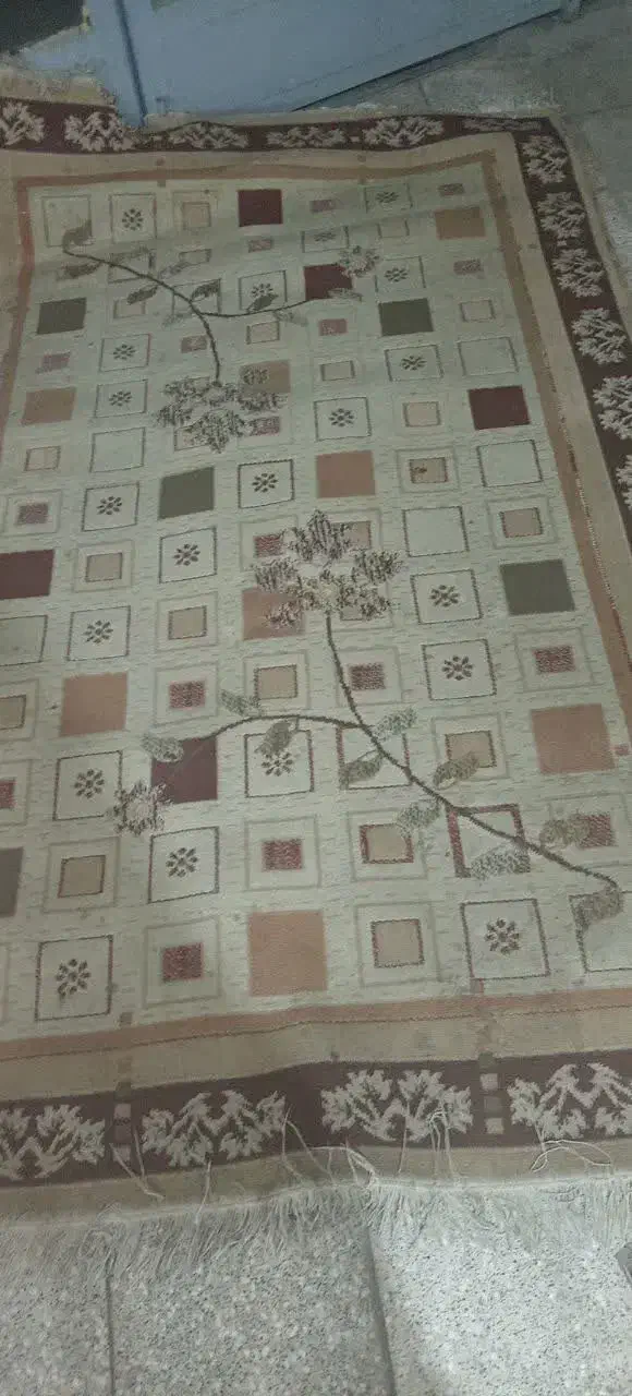 قالیچه|فرش|طرقبه, |دیوار