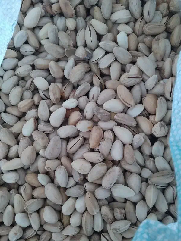 پسته اکبری کیلویی ۹۰۰|خوردنی و آشامیدنی|جوادآباد, |دیوار