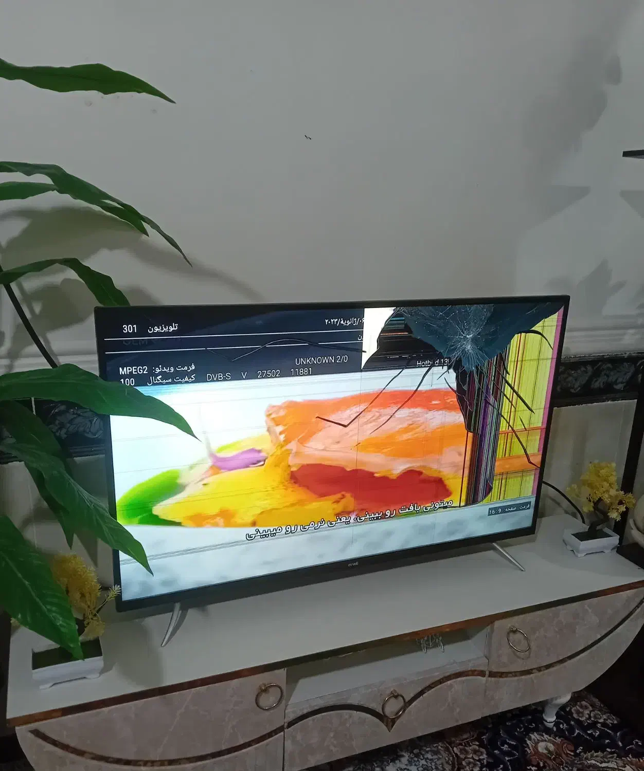 تلویزیون الیوی 43اینچ هوشمند|تلویزیون و پروژکتور|چابهار, |دیوار