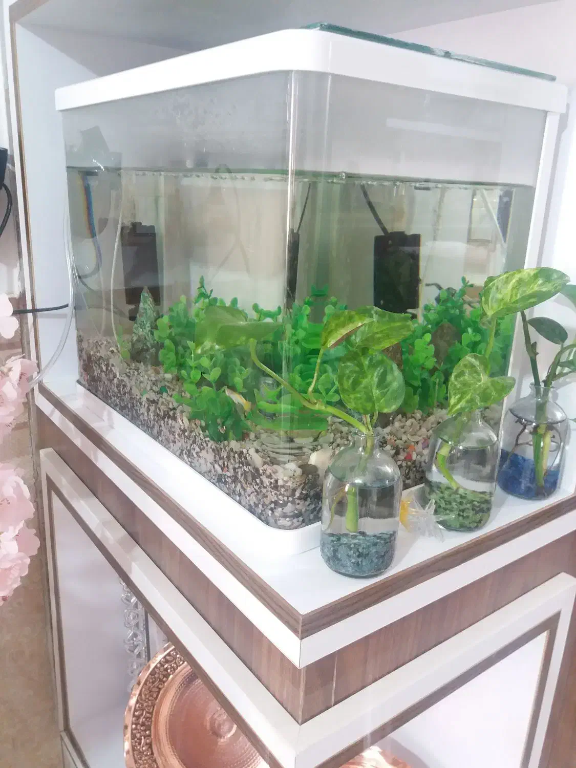 آکواریوم شیشیه خم درحدنو|ماهی|ابهر, |دیوار