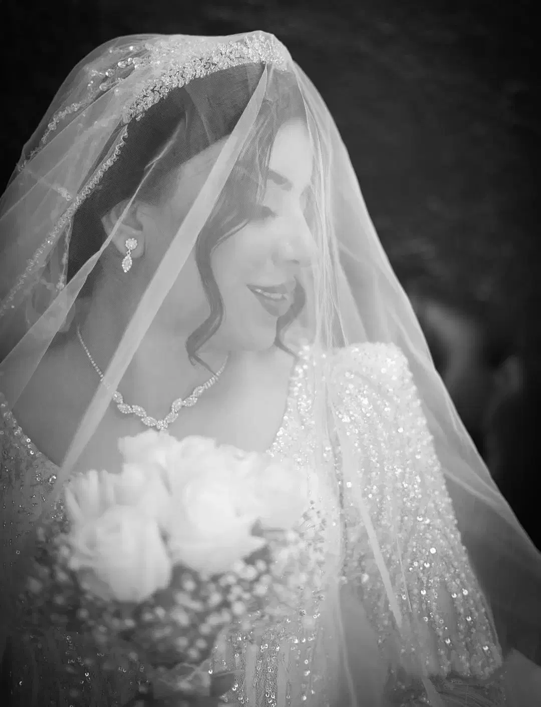 آتلیه عکاسی|خدمات پذیرایی، مراسم|شیراز, شهرک والفجر|دیوار