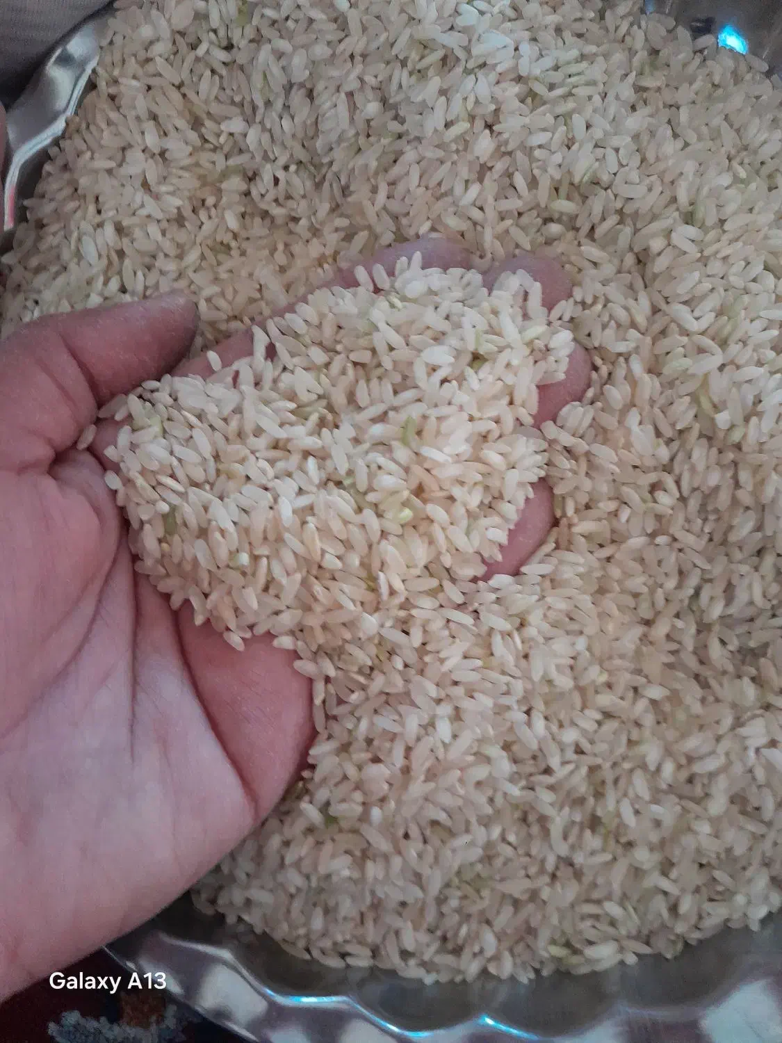 فروش برنج و چلتیک|خوردنی و آشامیدنی|چیتاب, |دیوار