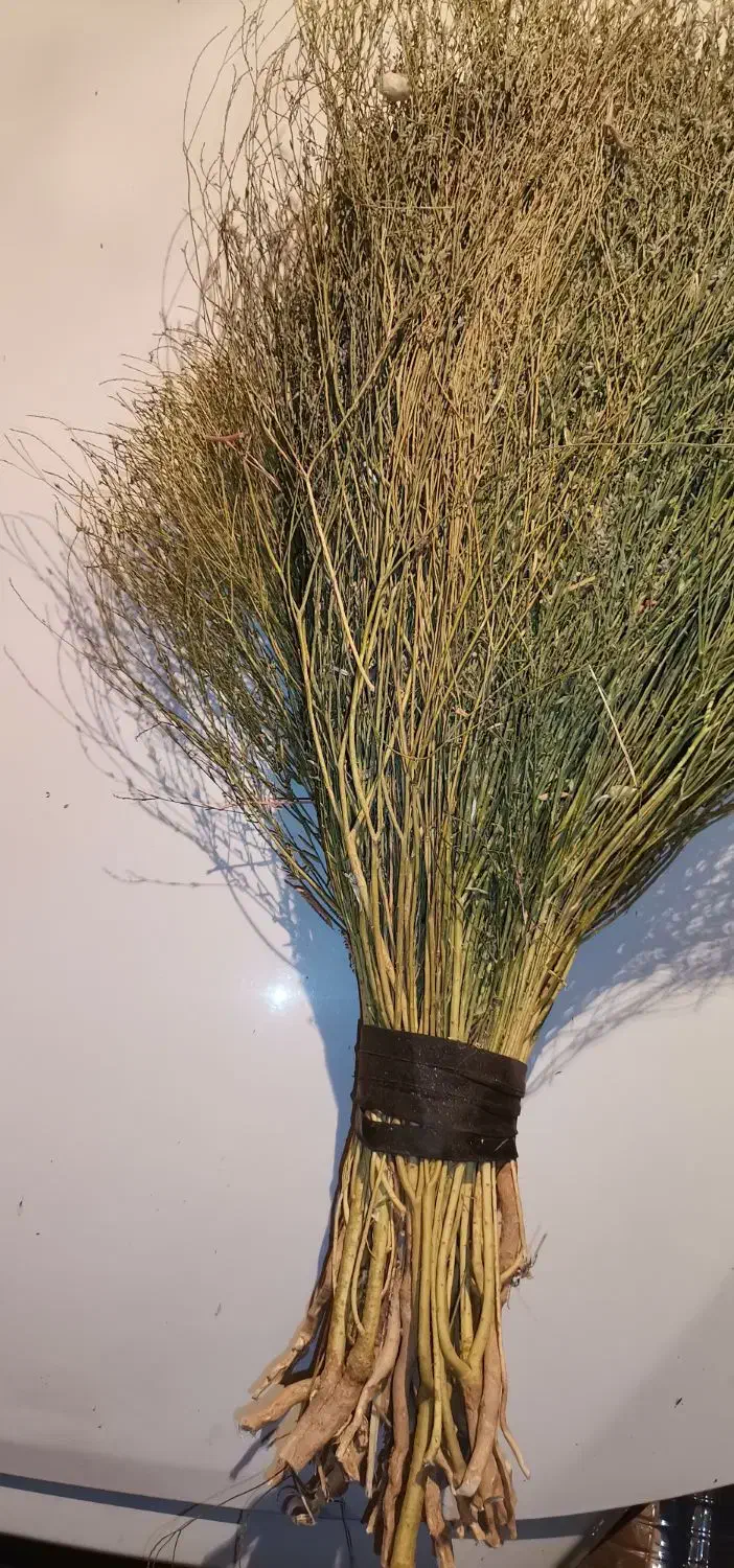 جاروی محلی|لوازم نظافت|نهاوند, |دیوار