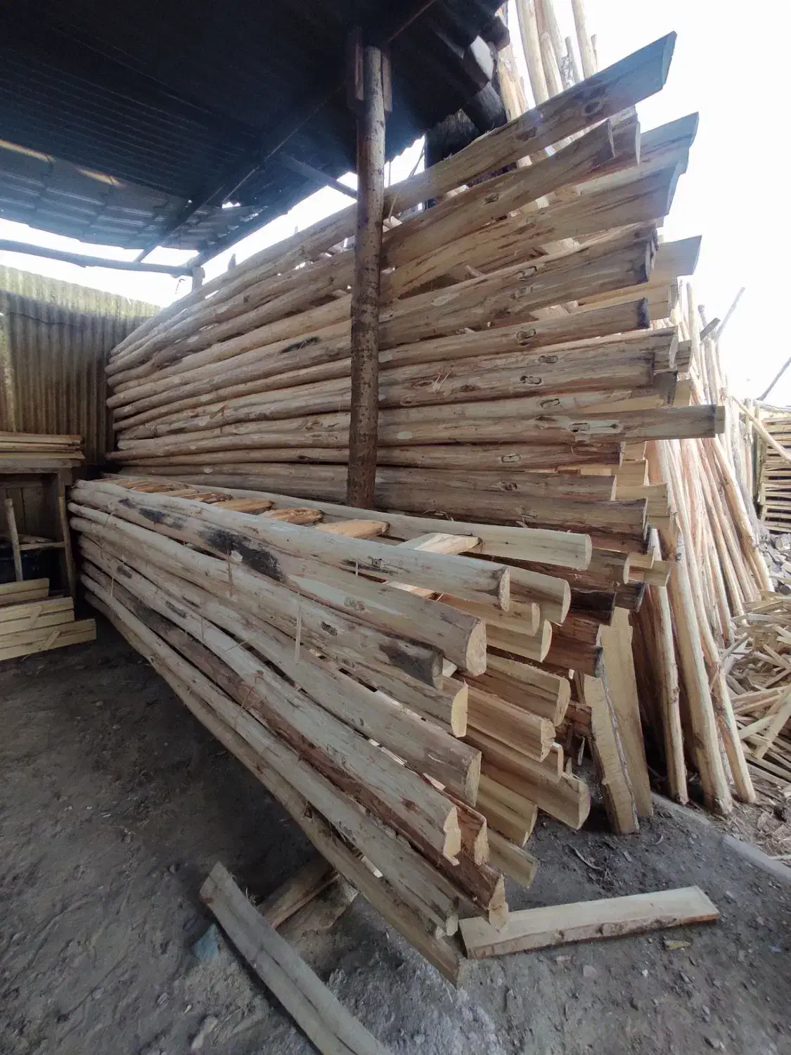 فروش انواع نردبان چوبی و درب چوبی|عمدهفروشی|مشکیندشت, |دیوار