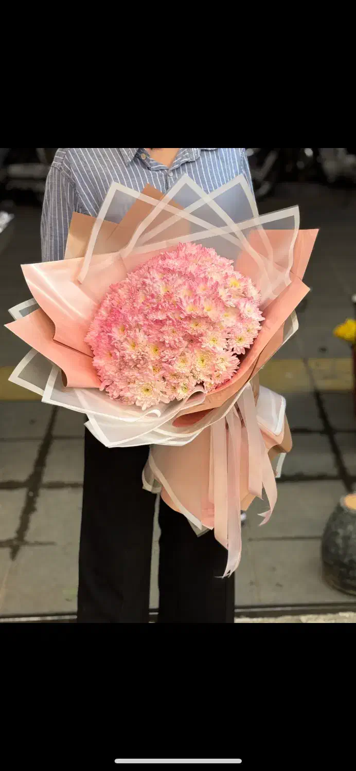 «انفجار قیمت»|گل و گیاه طبیعی|مشهد, هفت تیر (حافظ)|دیوار