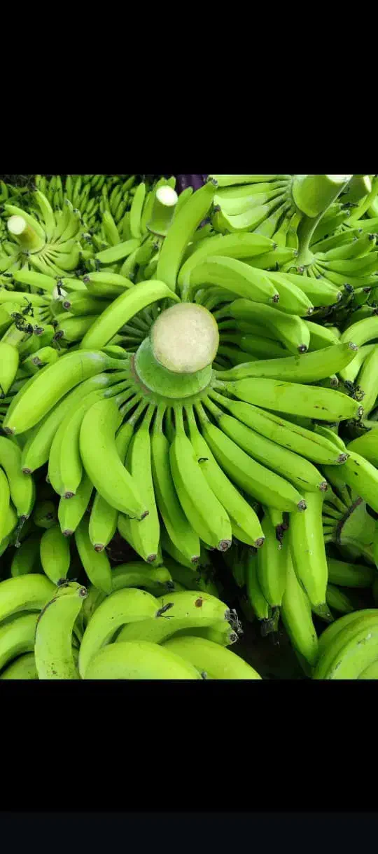 استخدام نیروی کار میوه فروشی|استخدام خدمات فروشگاه و رستوران|حمیدیا, |دیوار