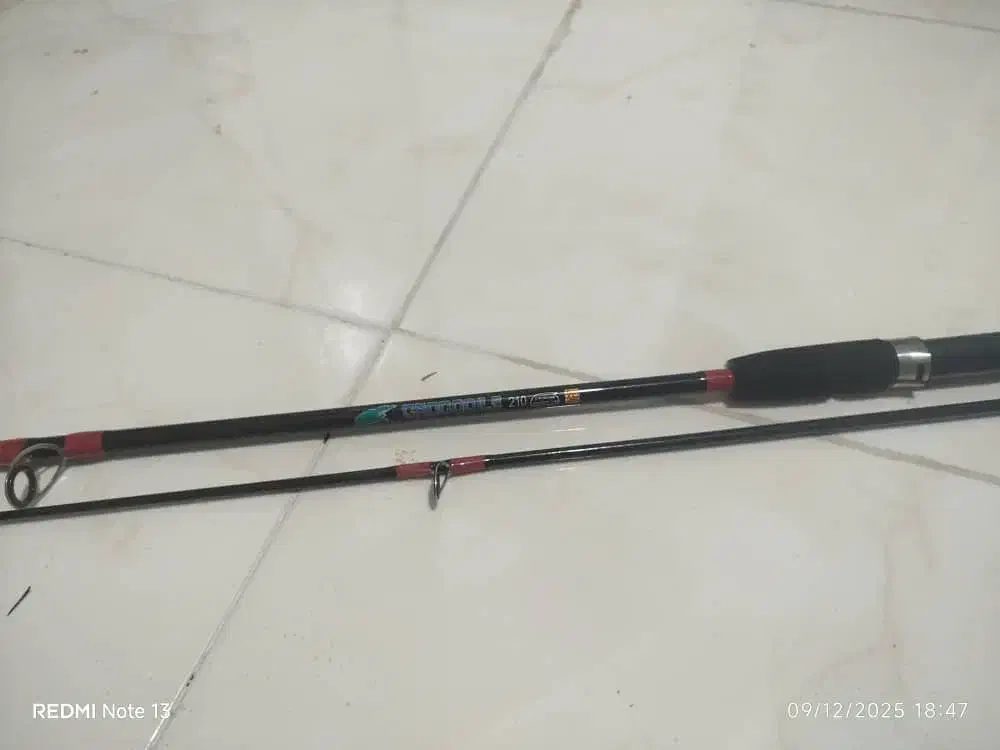 چوب و چرخ ماهیگیری|ماهیگیری|بندرعباس, |دیوار