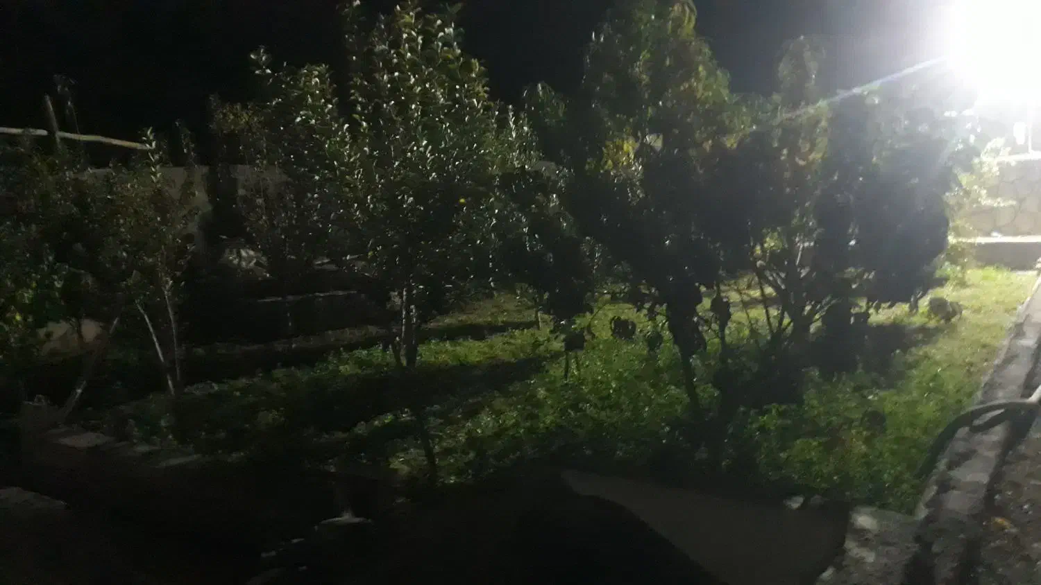 خونه باغ ودامداری|فروش دفتر صنعتی، کشاورزی، تجاری|گالیکش, |دیوار